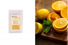 Melts vosak Citrus Bloom (75g) - mirišljavi vosak za topljenje